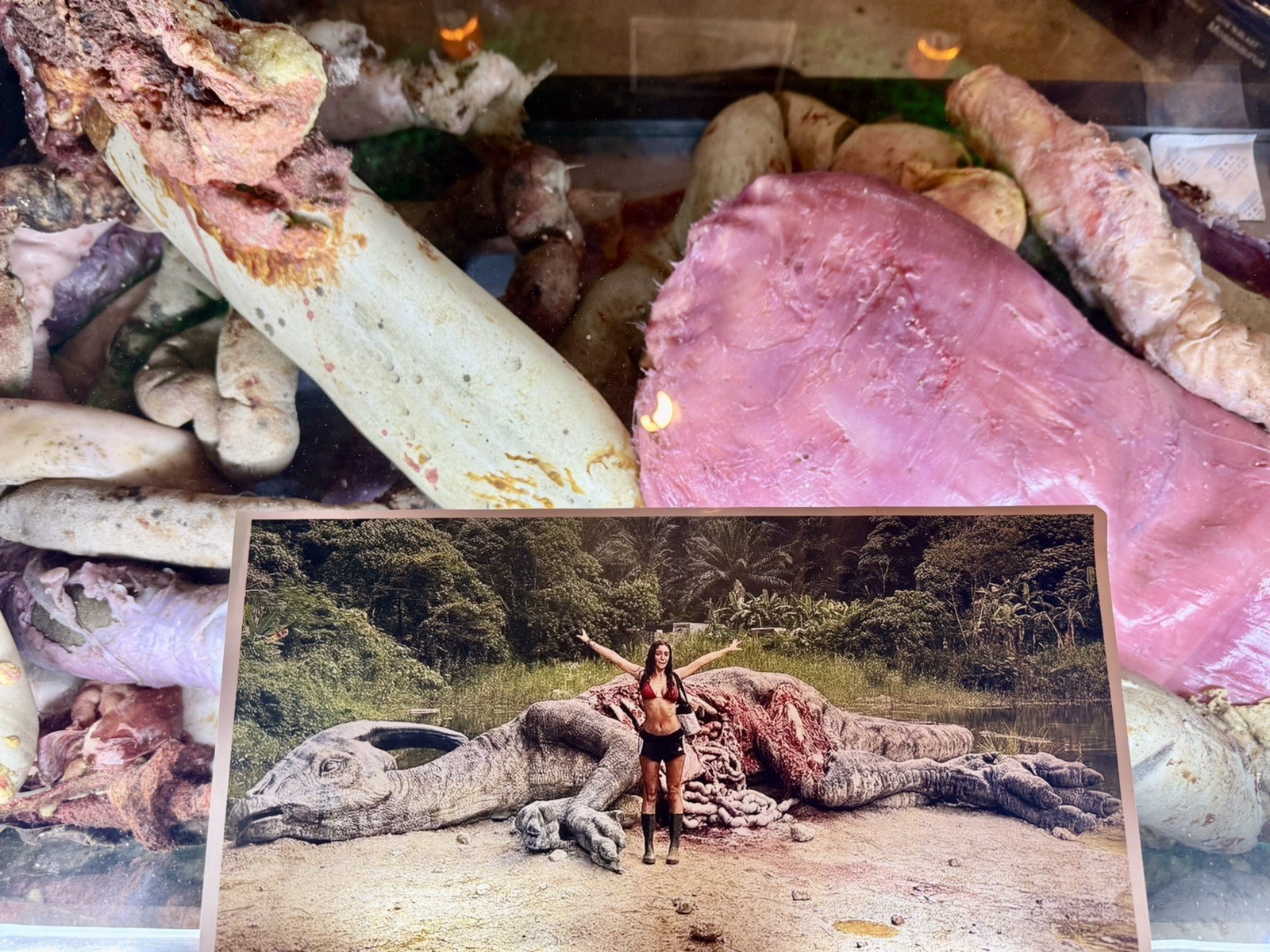 Jurassic World Rebirth Screen Used Movie Prop Parasaurolophus Blood Guts 160 COA